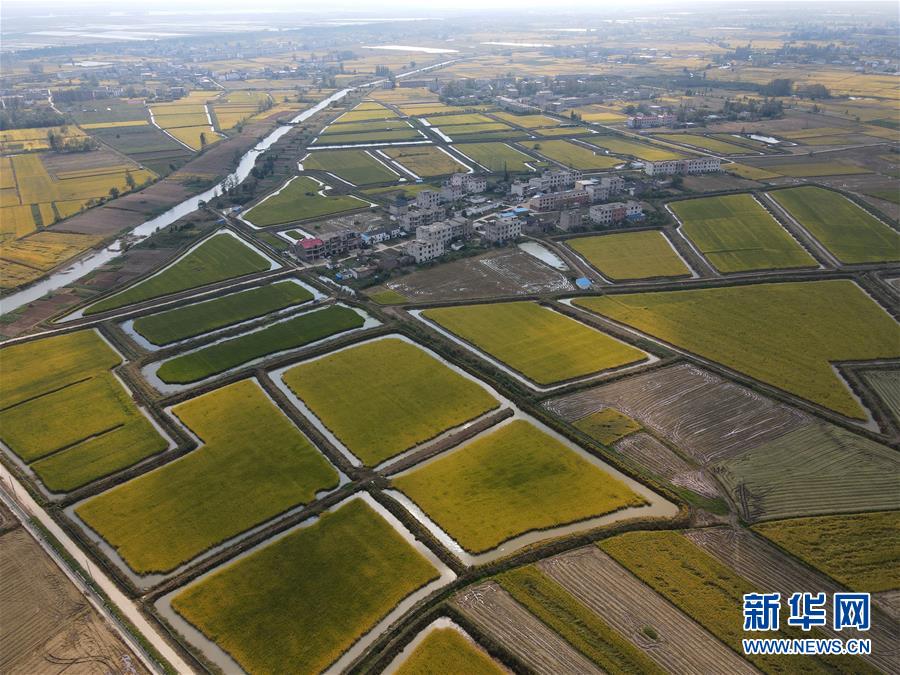 （新华全媒头条·图文互动）（8）长淮新“斗水”记——写在新中国治淮70年之时