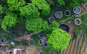 从秃山到青山的蝶变——广西石漠化治理10年再现发展生机