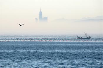 雾海“仙境”